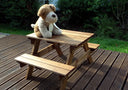 Kids Picnic Table Gold