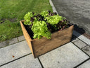 Country Kitchen Large Raised Bed
