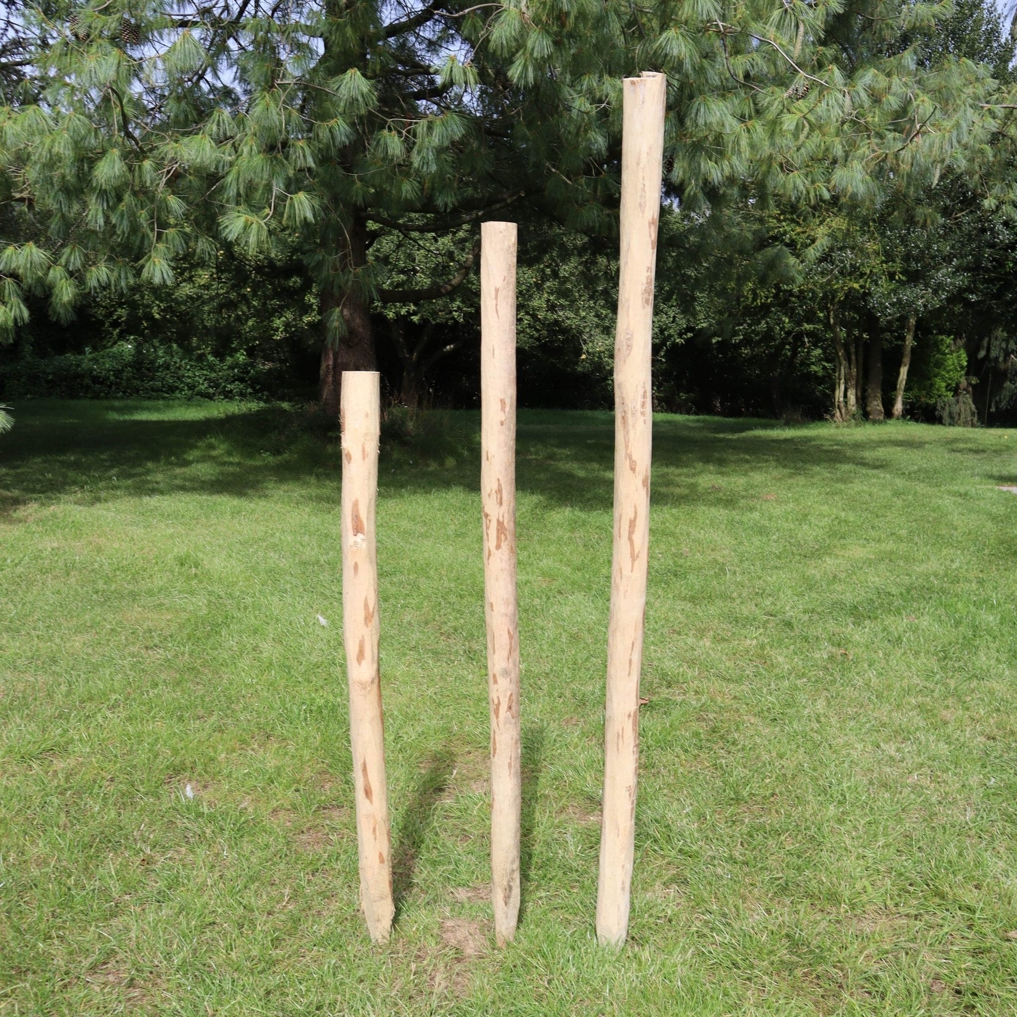 Rustic Chestnut Fence Posts for Hazel Hurdles – Woven Wood