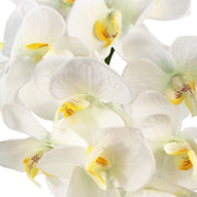 52cm Artificial Orchid Large -White / Silver