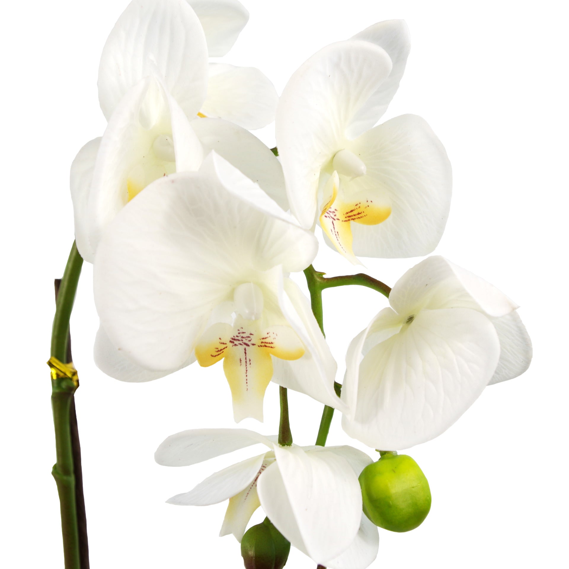 46cm Artificial Orchid Dark White / Gold