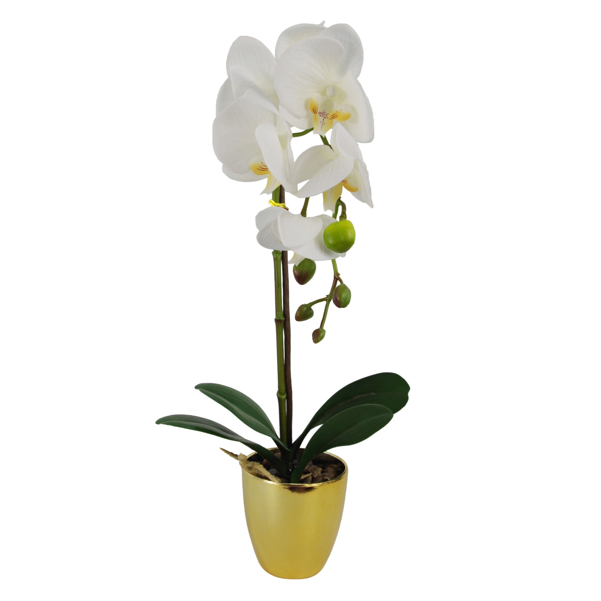 46cm Artificial Orchid Dark White / Gold