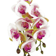 48cm Harlequin Orchid Artificial  - Pink with Gold Pot