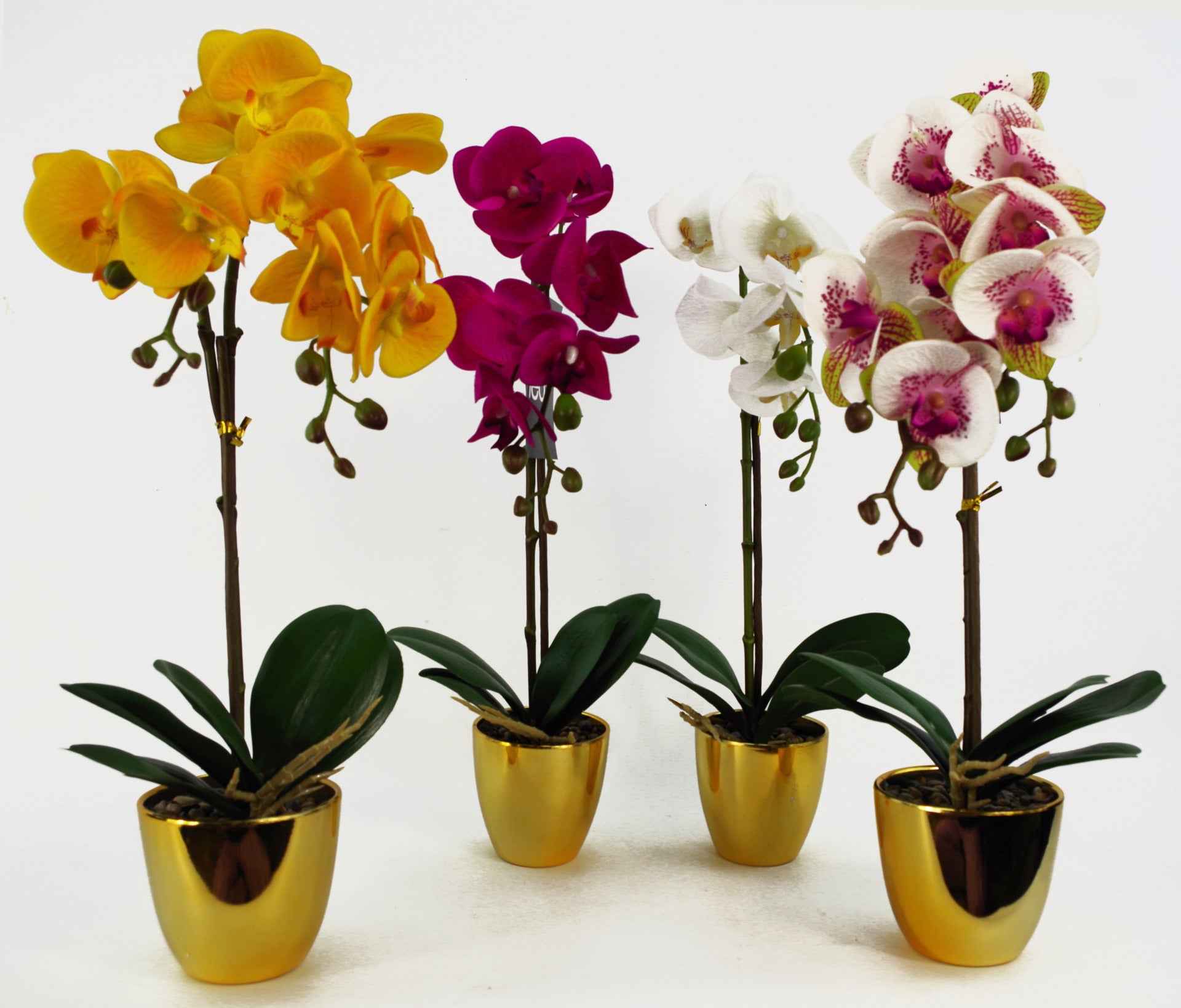46cm Artificial Orchid Dark White / Gold