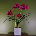 Artificial Amarylis Flowering Plant Pink