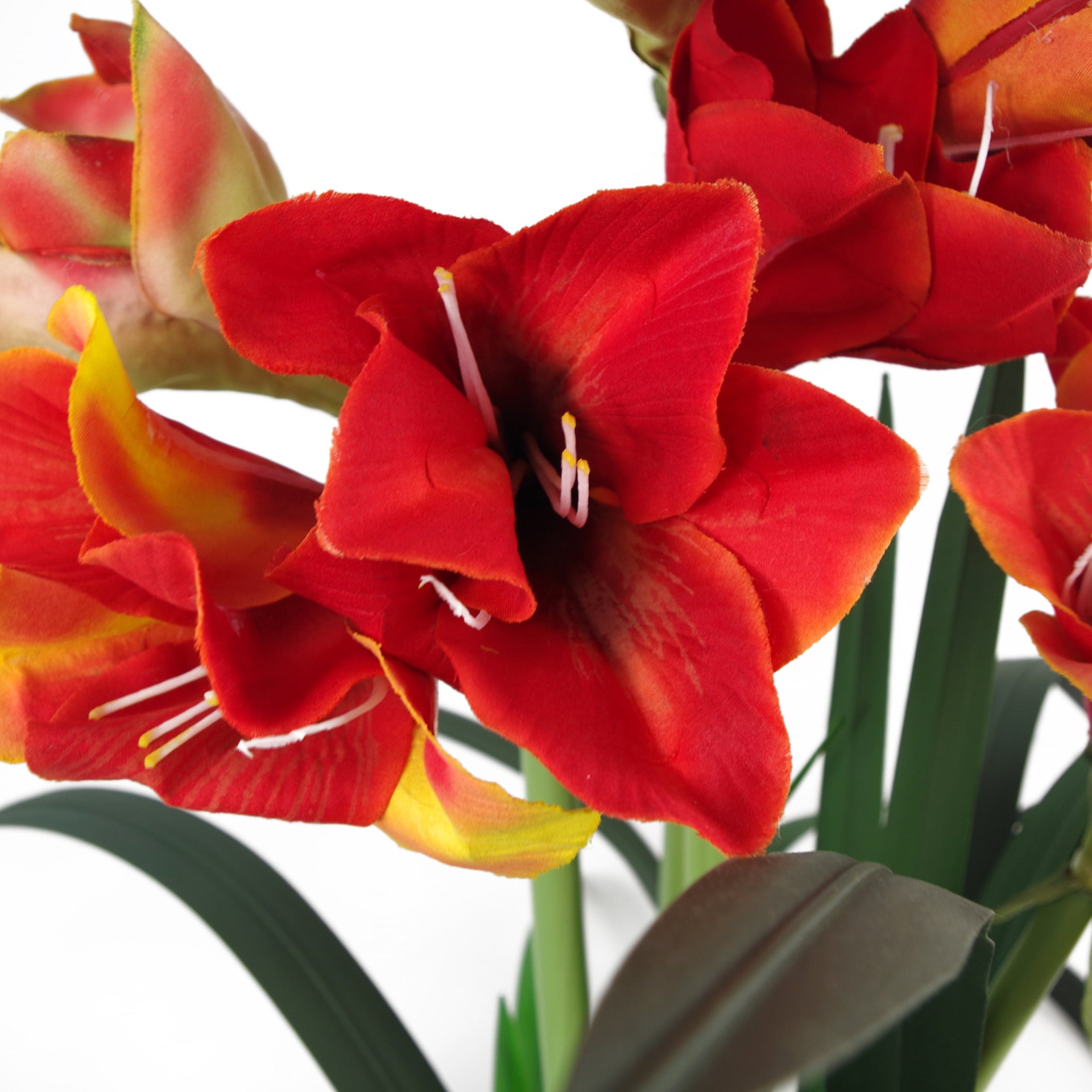 90cm Artificial Amarylis Orange