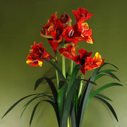 Artificial Amarylis Flowering Plant Orange