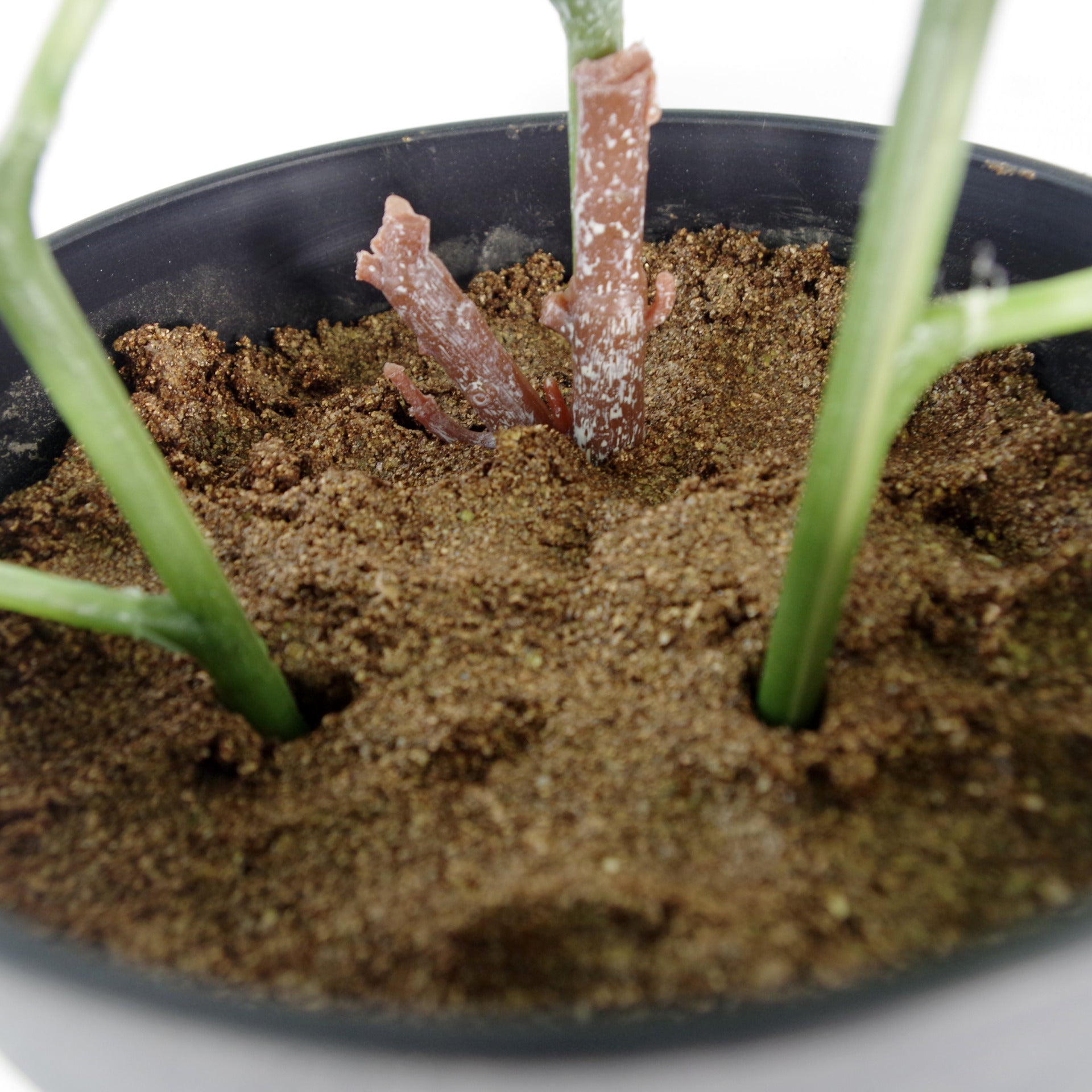 50cm Artificial Dhalia Plant Red