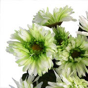 33cm Artificial Potted Daisy White