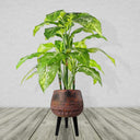 Large Composite Brown / Black Planter with Stand