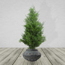 Large Composite Triangle Planter