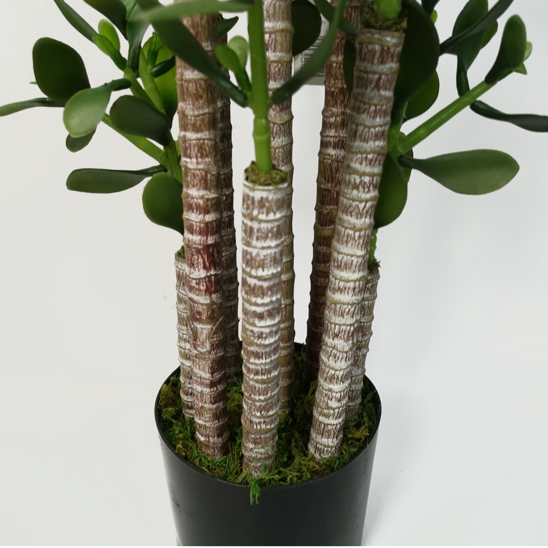 jade plant artificial Artificial Deluxe 75cm Green Jade Plant – Woven Wood