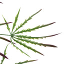 100cm Artificial Hanging Acer Plant