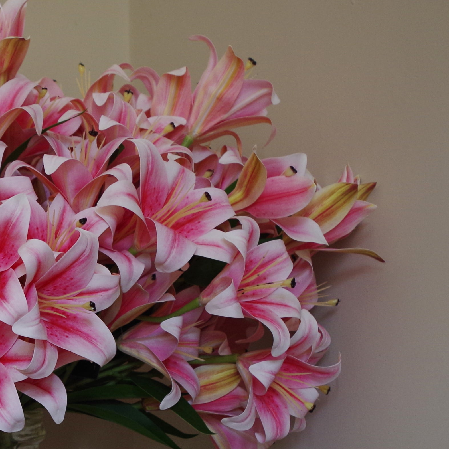 12 x 60cm Artificial Lily Stem Pink (144 Flowers)