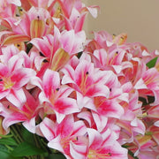 12 x 60cm Artificial Lily Stem Pink (144 Flowers)