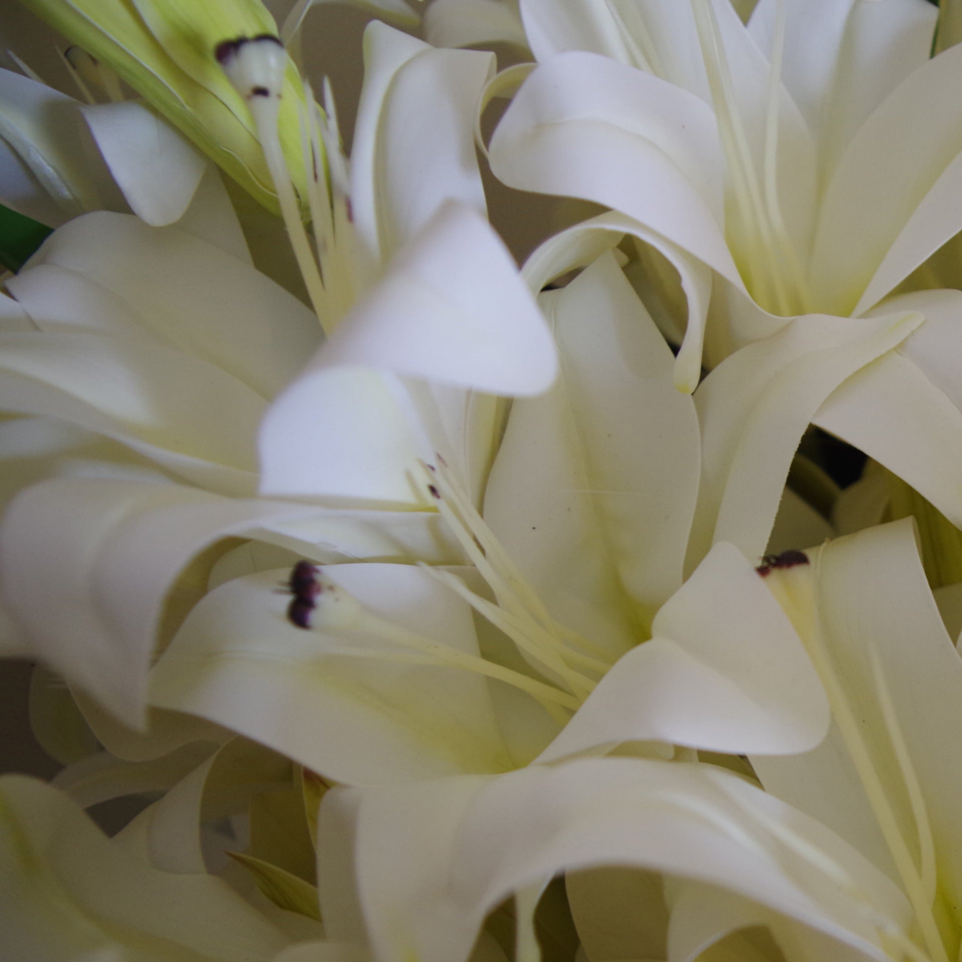 12 x 60cm Artificial Lily Stem White (144 Flowers)