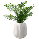 16cm White Ceramic Planter