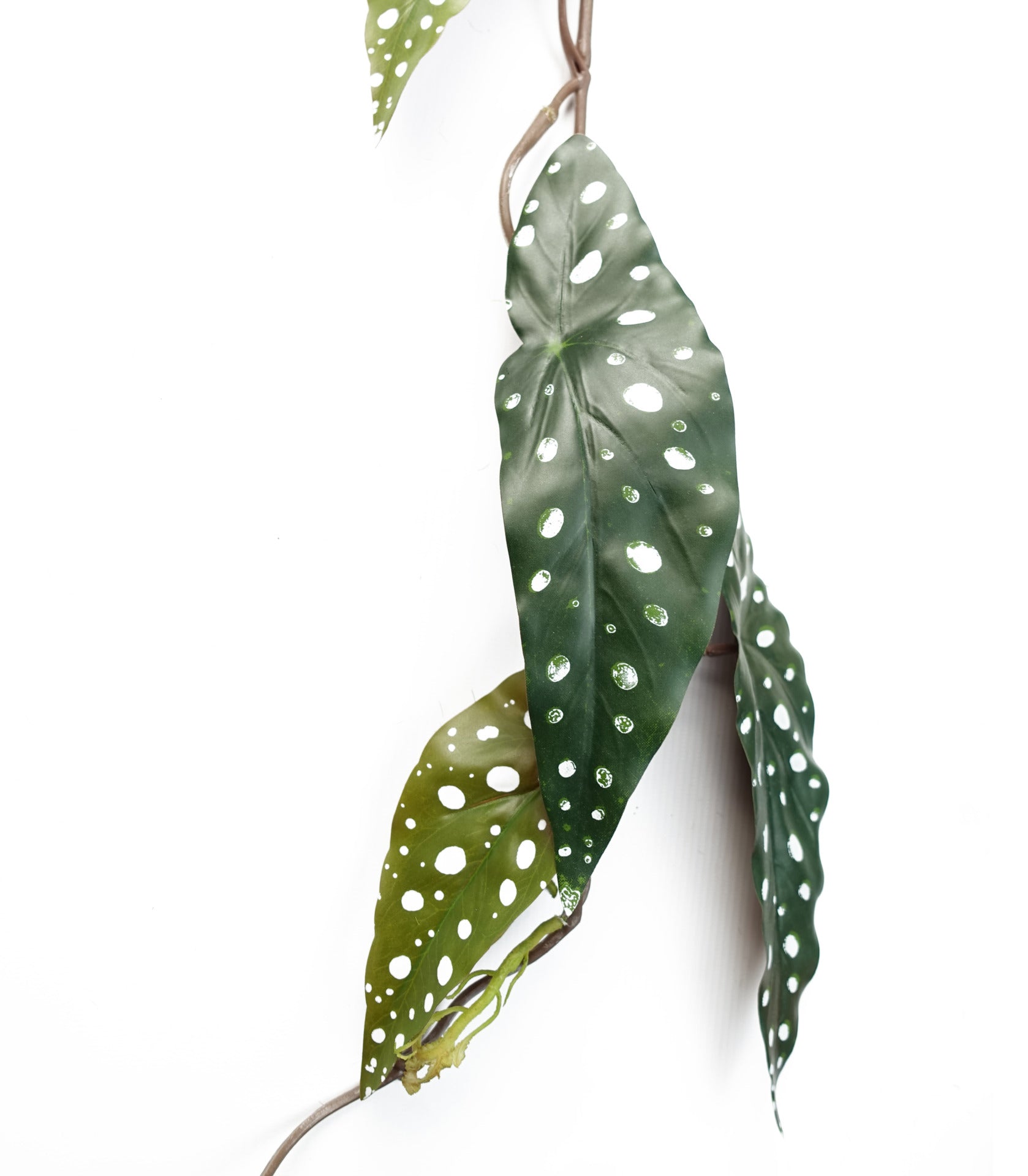 6 x 110cm Artificial Hanging Trailing Begonia Maculata Spotted Plant