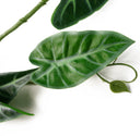 6 x 180cm Artificial Hanging Trailing Amazonica Plant