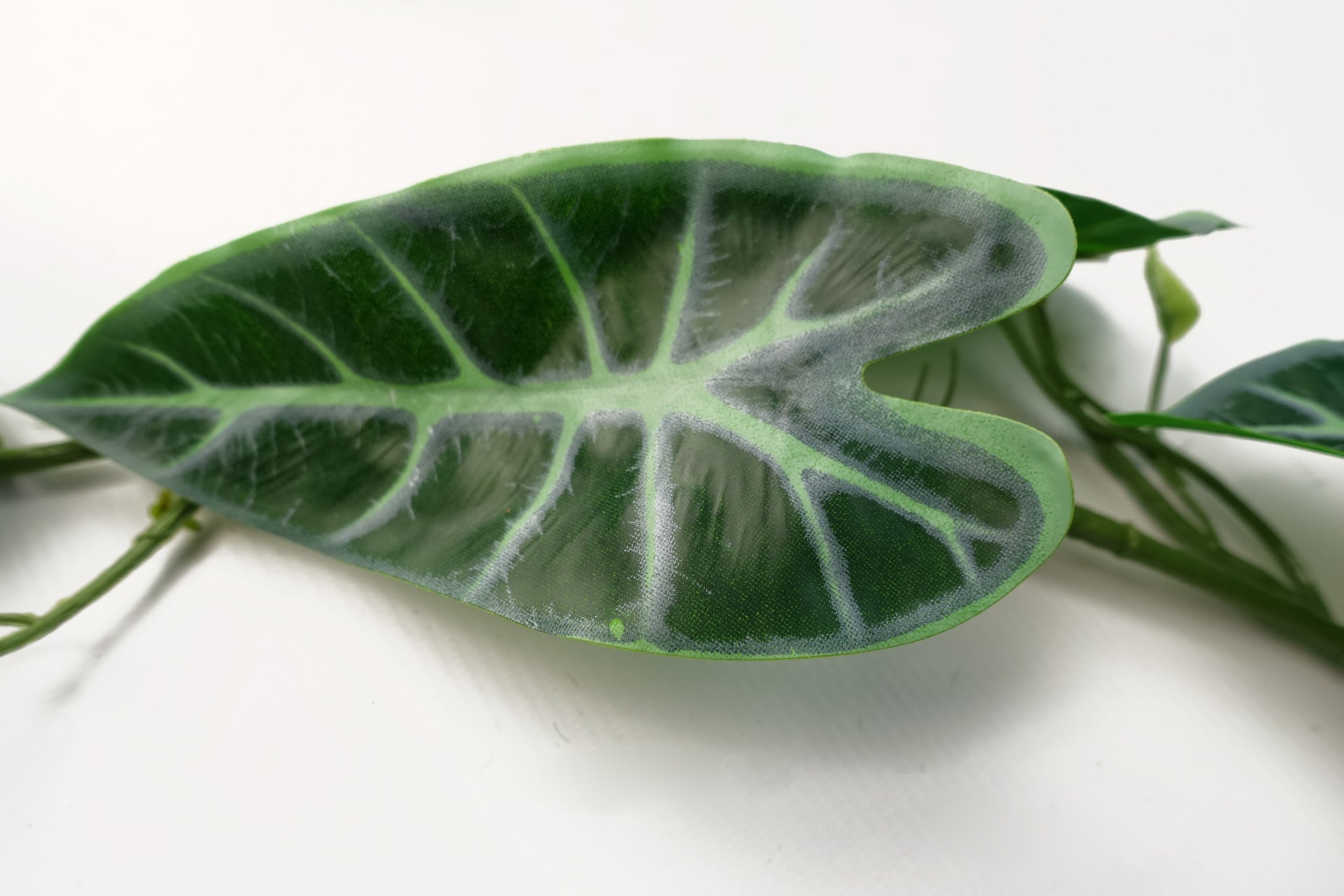 180cm Artificial Hanging Trailing Amazonica Plant