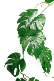 100cm Artificial Hanging Trailing Monstera Plant