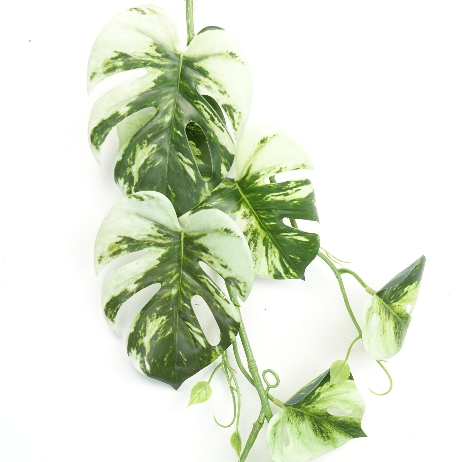 6 x 180cm Artificial Hanging Trailing Variegated Monstera Plant