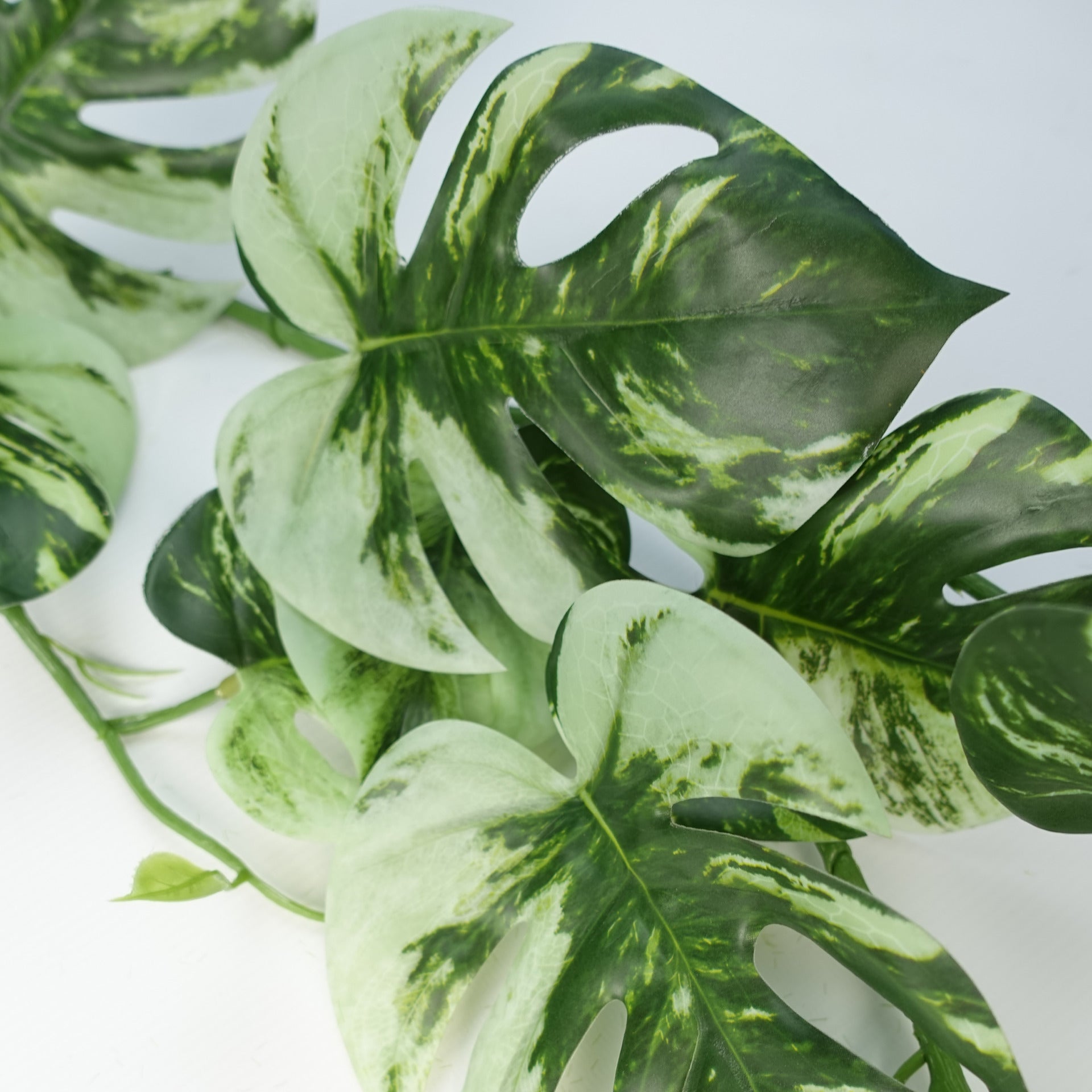 6 x 180cm Artificial Hanging Trailing Variegated Monstera Plant
