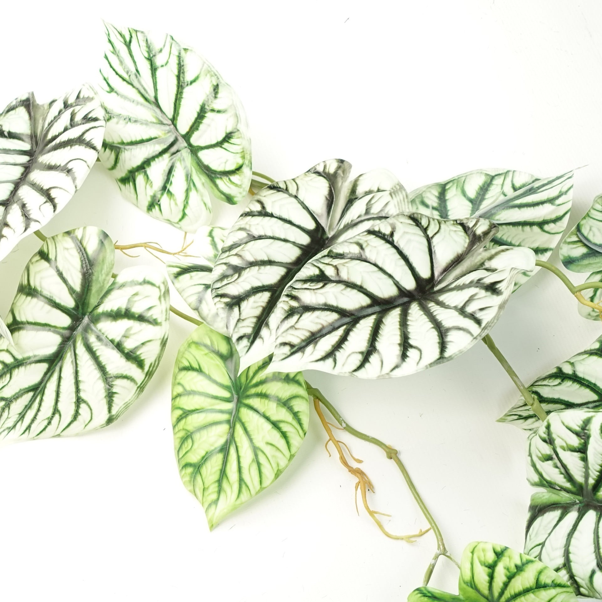 6 x 120cm Artificial Hanging Trailing Plant Alocasia Dragon Scale Light