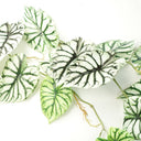 6 x 120cm Artificial Hanging Trailing Plant Alocasia Dragon Scale Light