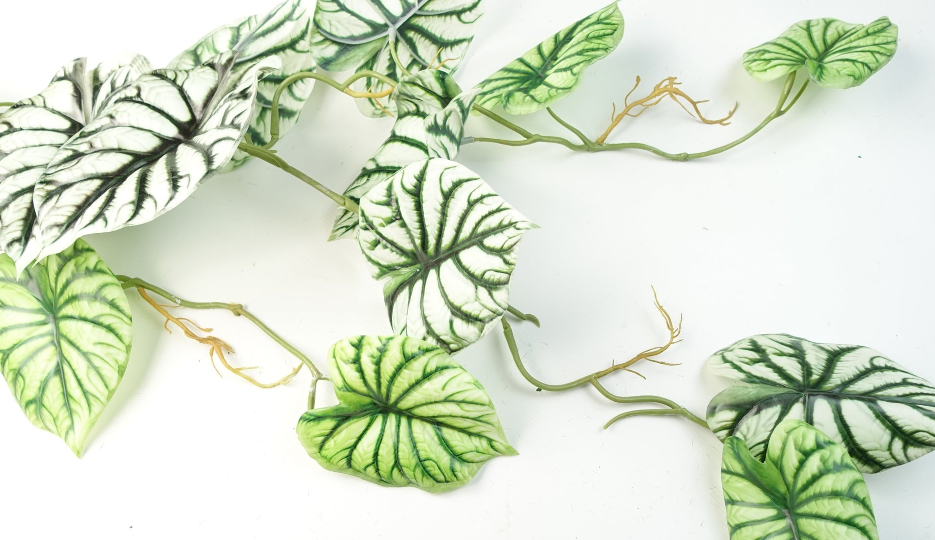 120cm Artificial Hanging Trailing Plant Alocasia Dragon Scale Light