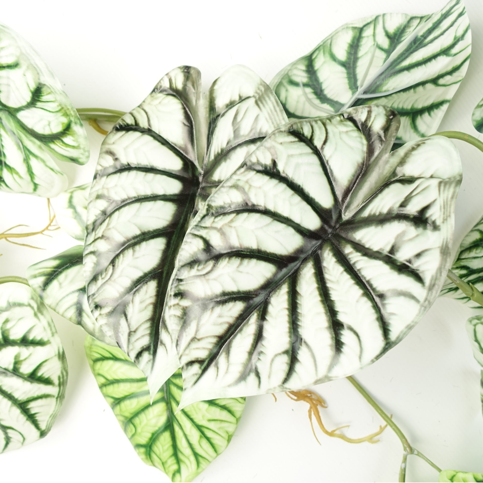 120cm Artificial Hanging Trailing Plant Alocasia Dragon Scale Light