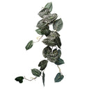 120cm Artificial Hanging Trailing Plant Alocasia Dragon Scale Dark