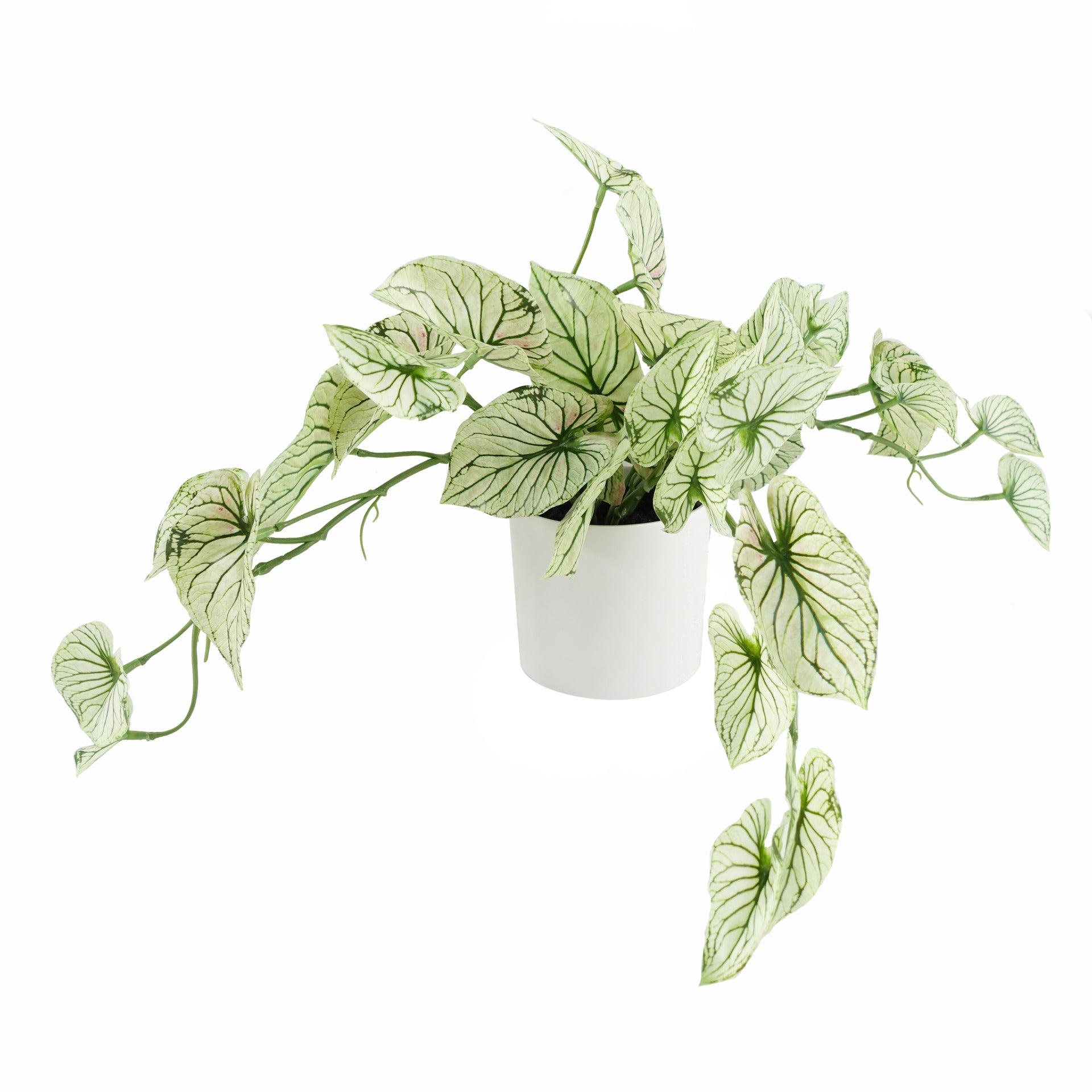 30cm Artificial Trailing Plant Variegated Potted Alocasia