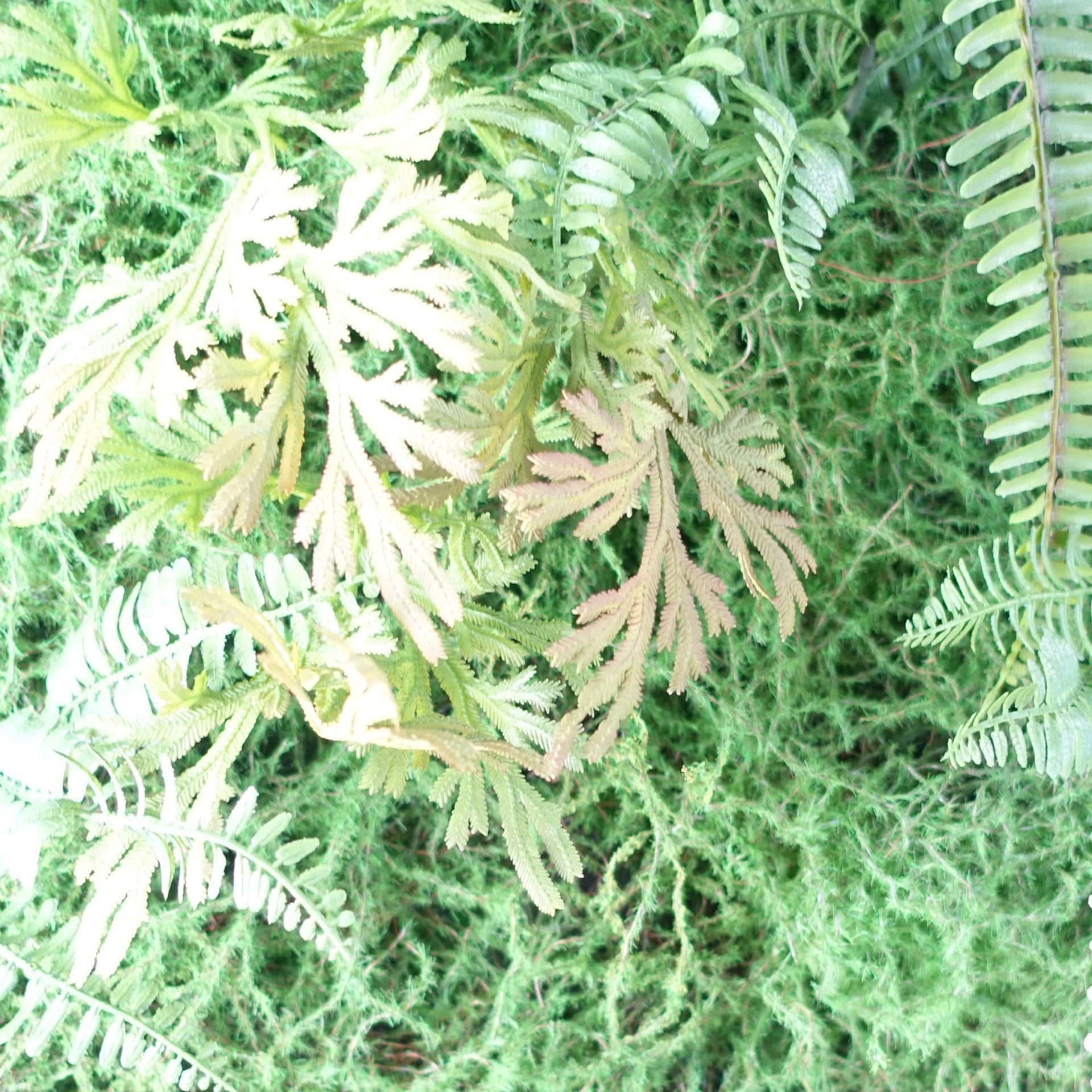 100cm Artificial Green Wall Fern Large