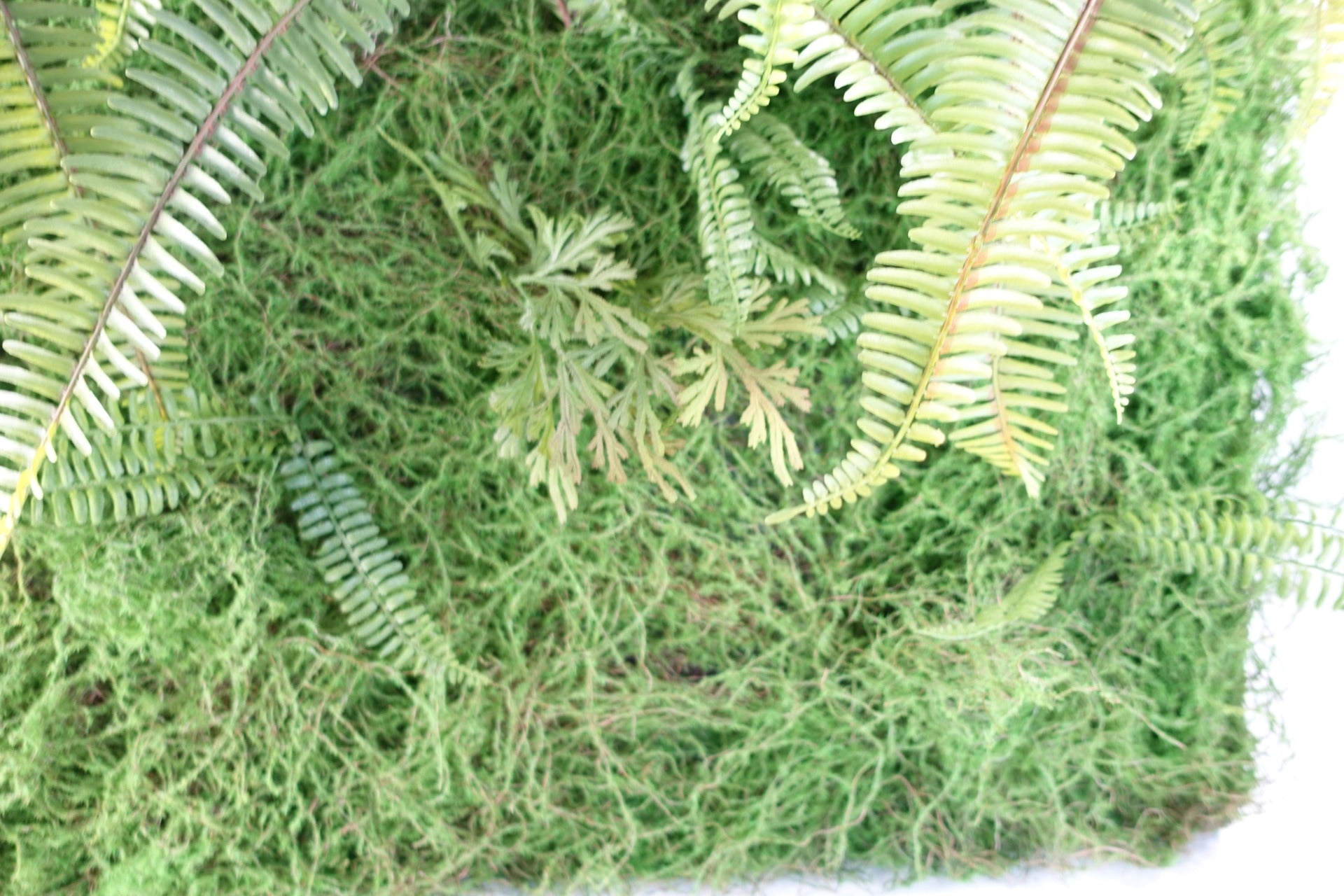 100cm Artificial Green Wall Fern Large