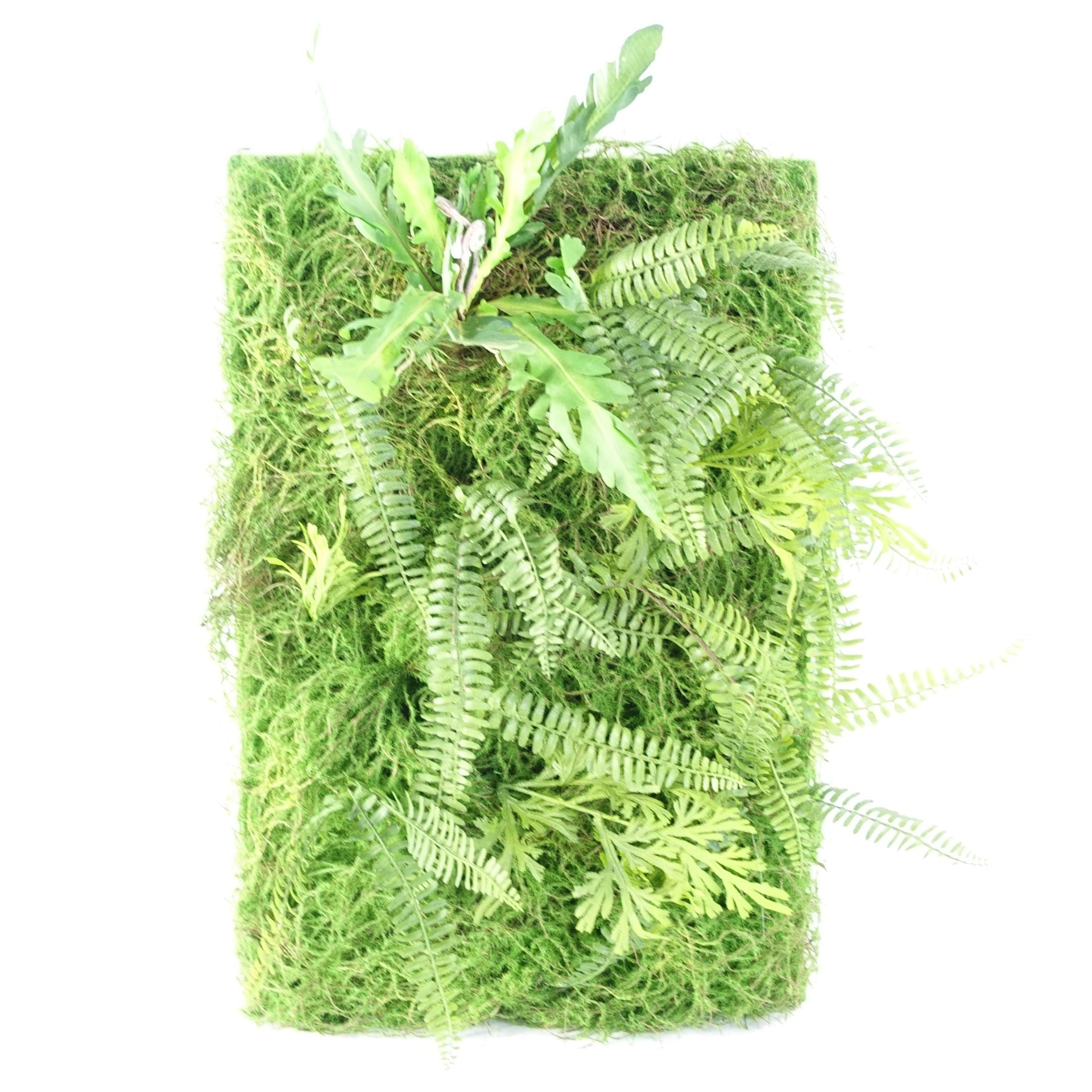 60cm Artificial Green Wall Fern