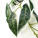 6 x 110cm Artificial Hanging Trailing Dark Green Leaf Plant
