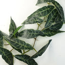 6 x 110cm Artificial Hanging Trailing Dark Green Leaf Plant