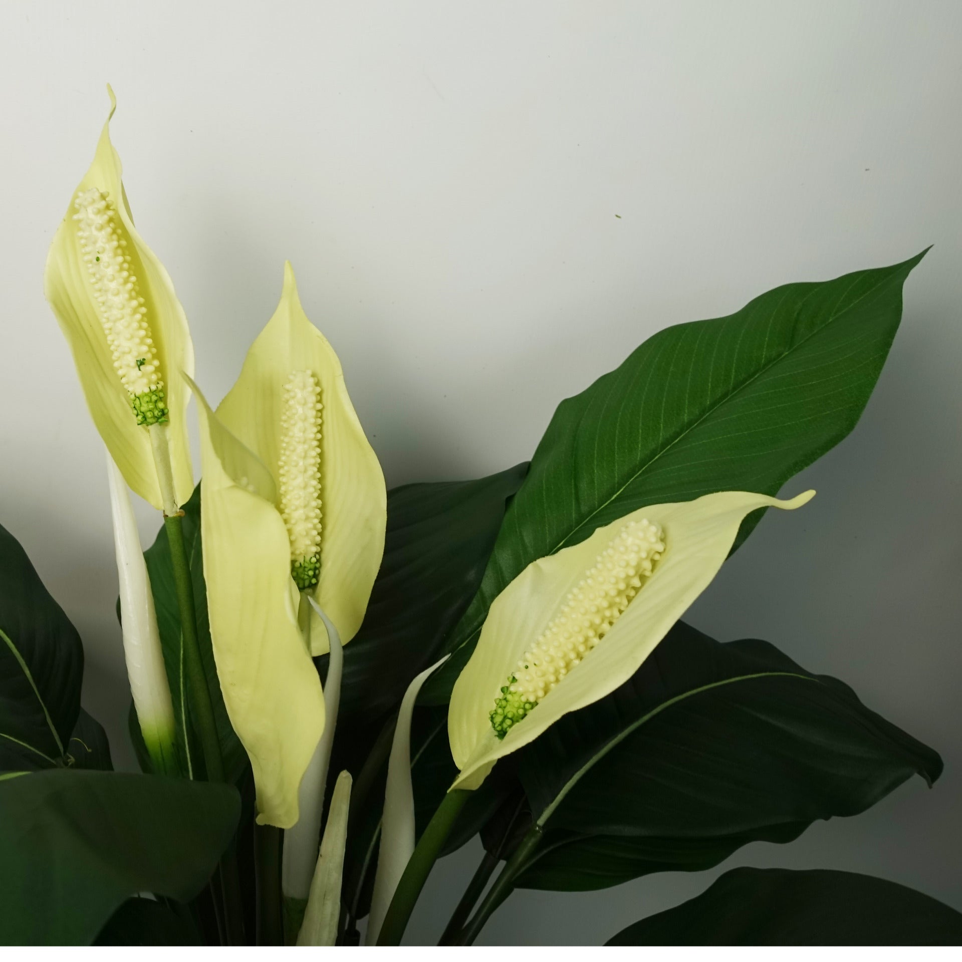 faux peace lily flower Artificial Peace Lily White Spathiphyllum – Woven Wood