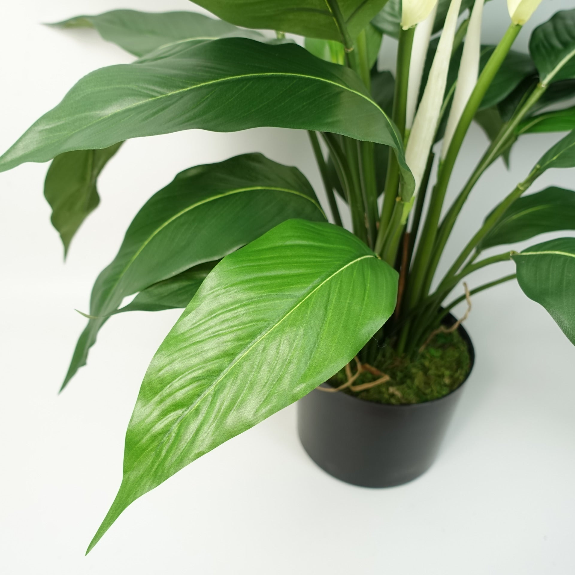 silk peace lily plants Artificial Peace Lily White Spathiphyllum – Woven Wood