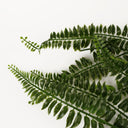 70cm UV Resistant Artificial Boston Fern Bush