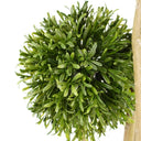 120cm UV Resistant Balls Topiary - 480 Leaves - Natural Trunk
