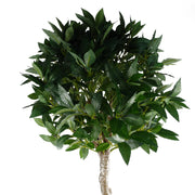 120cm UV Resistant Artificial Bay Tree with 800 Leaves