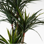 120cm UV Resistant Yucca - 238 Leaves