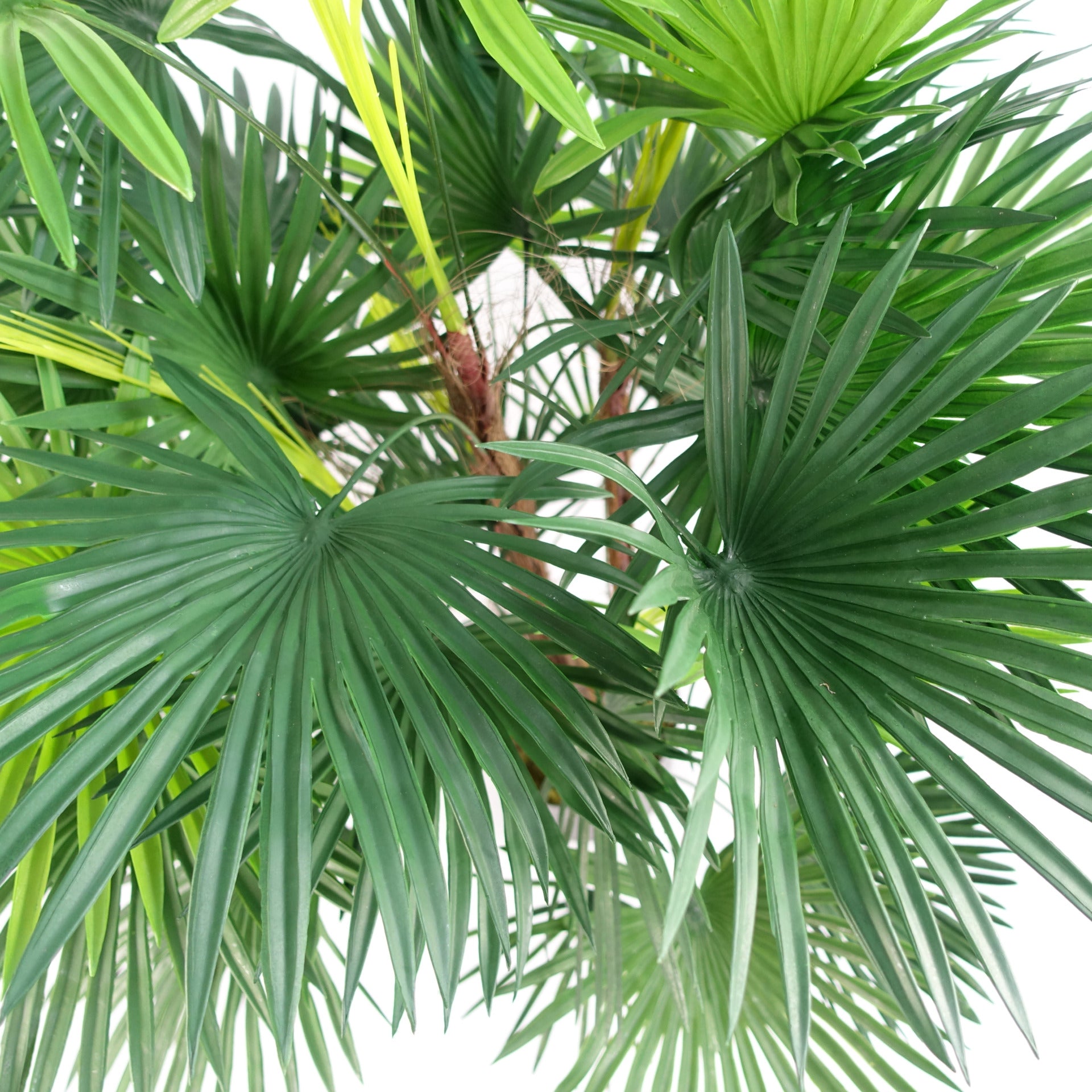 90cm Fan Palm Artificial Tree