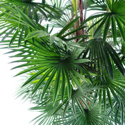 120cm Fan Palm Artificial Tree
