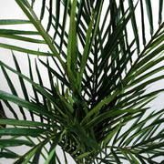 150cm Areca Palm Artificial Tree