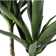 120cm Yucca Tree UV Resistant Outdoor