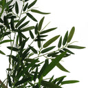 160cm Artificial Bamboo Plants Trees - Spring Green - XL