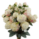 6 x 55cm Cream Peony Artificial Flower Stems
